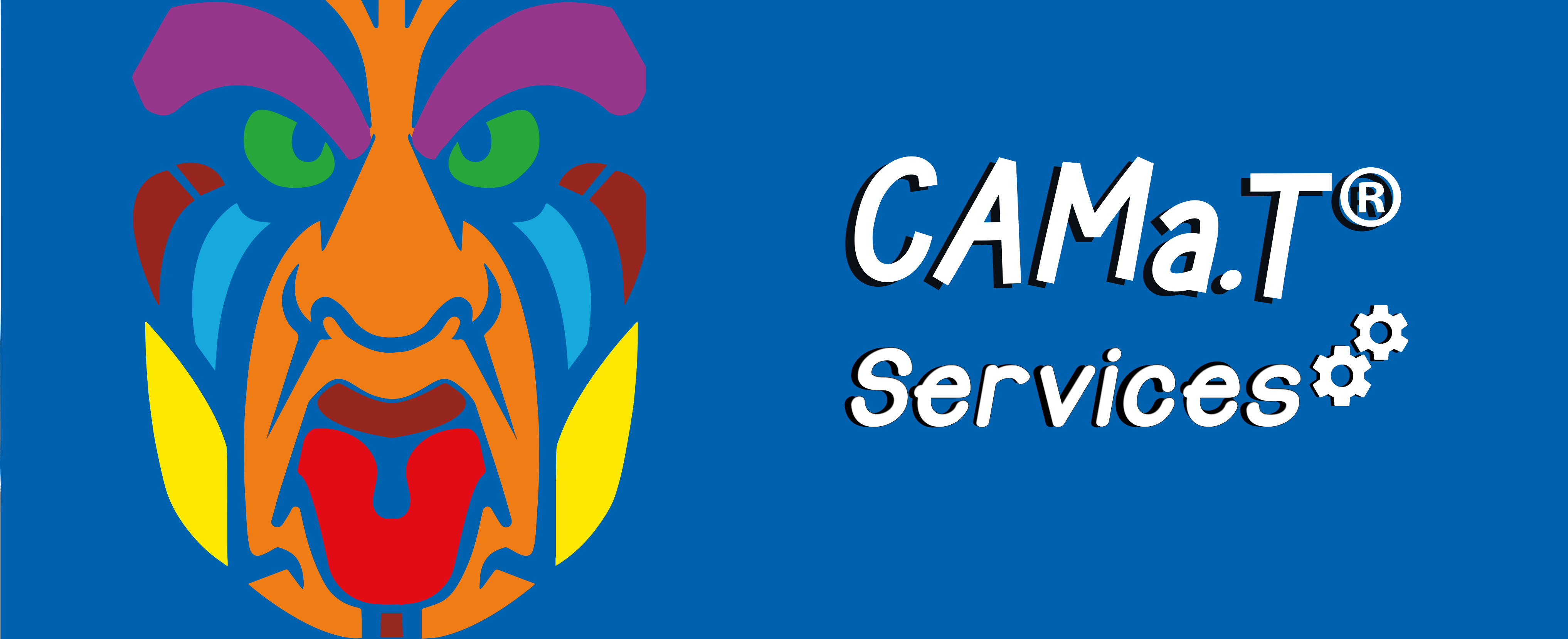 CAMaT Services